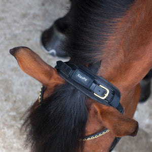 EquiFit® ImpacTeq™ Crown Pad