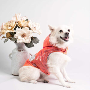 Oli and Lui Dog Raincoat Radiant Orange
