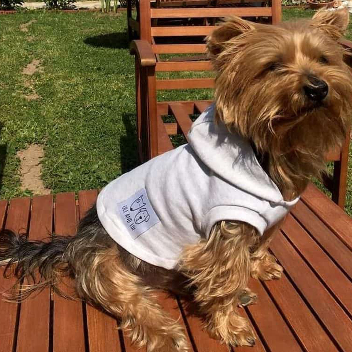 Oli and Lui Dog Sweatshirt Cool