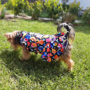 Oli and Lui Dog Dress Gypsy Time
