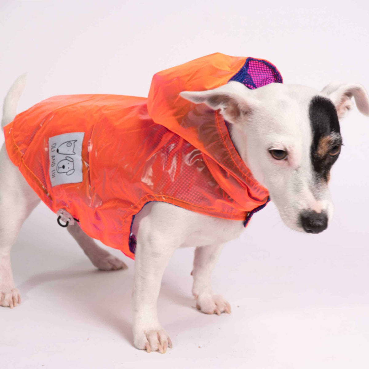 Oli and Lui Dog Raincoat Radiant Orange