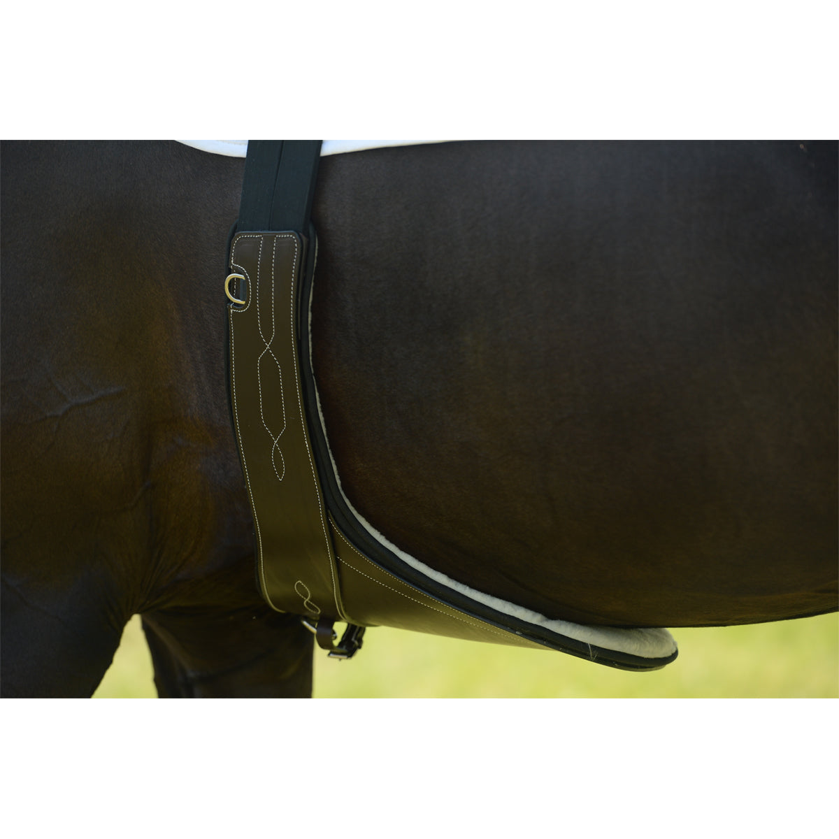 EquiFit® Anatomical BellyGuard w/ Sheeps Wool Liner