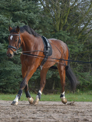 Lunging Girth Pad