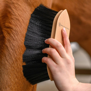 Exclusive Line Dust Brush