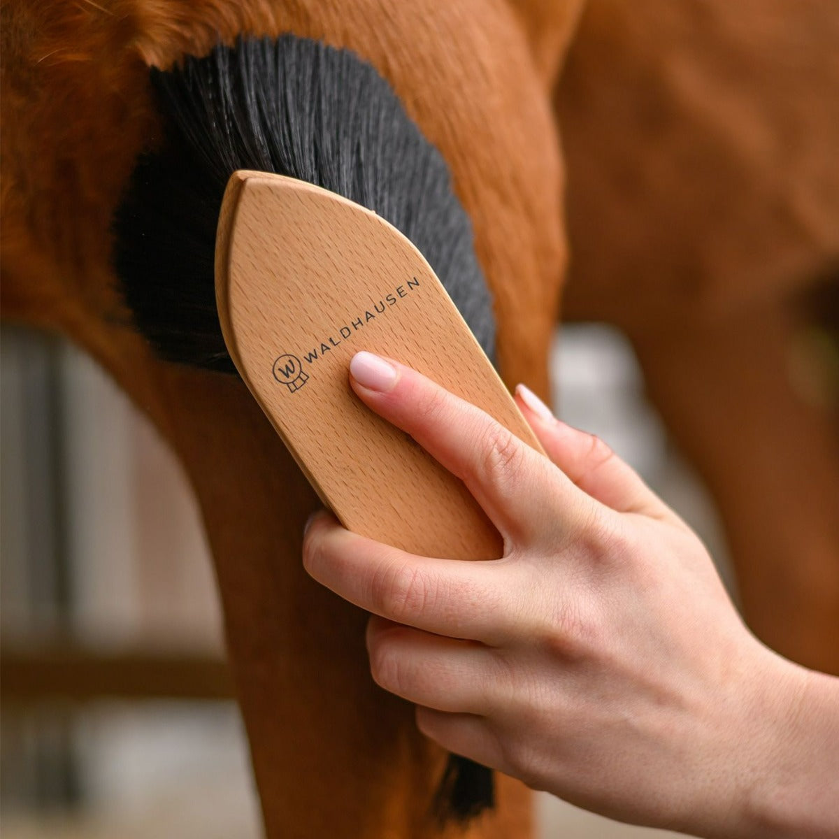 Exclusive Line Dust Brush