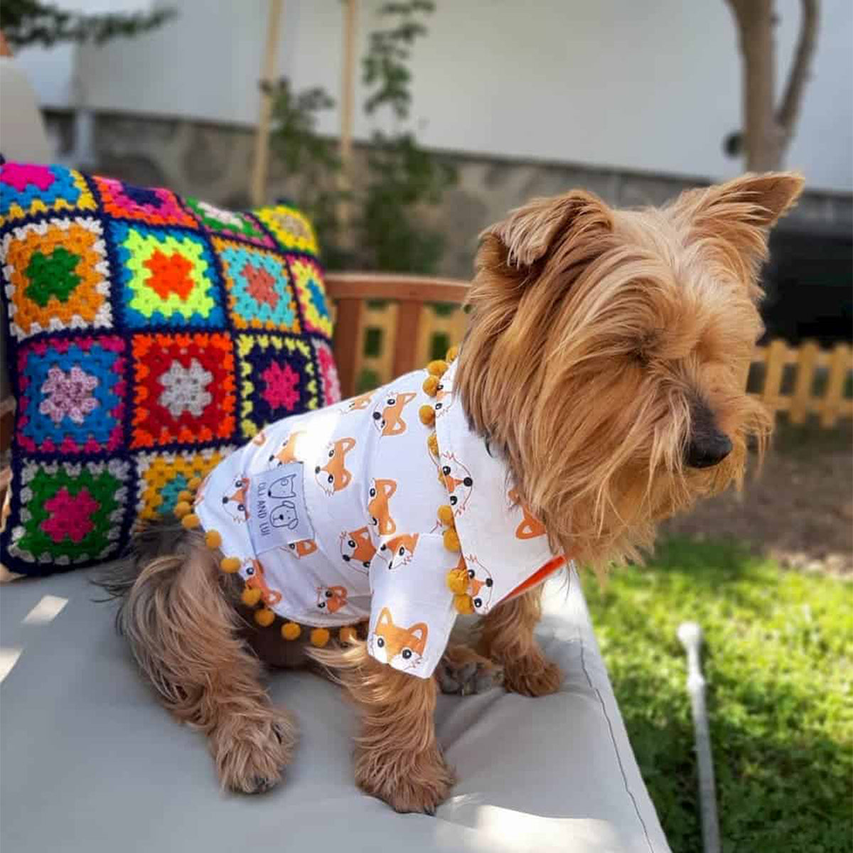 Oli and Lui Dog Shirt Fox