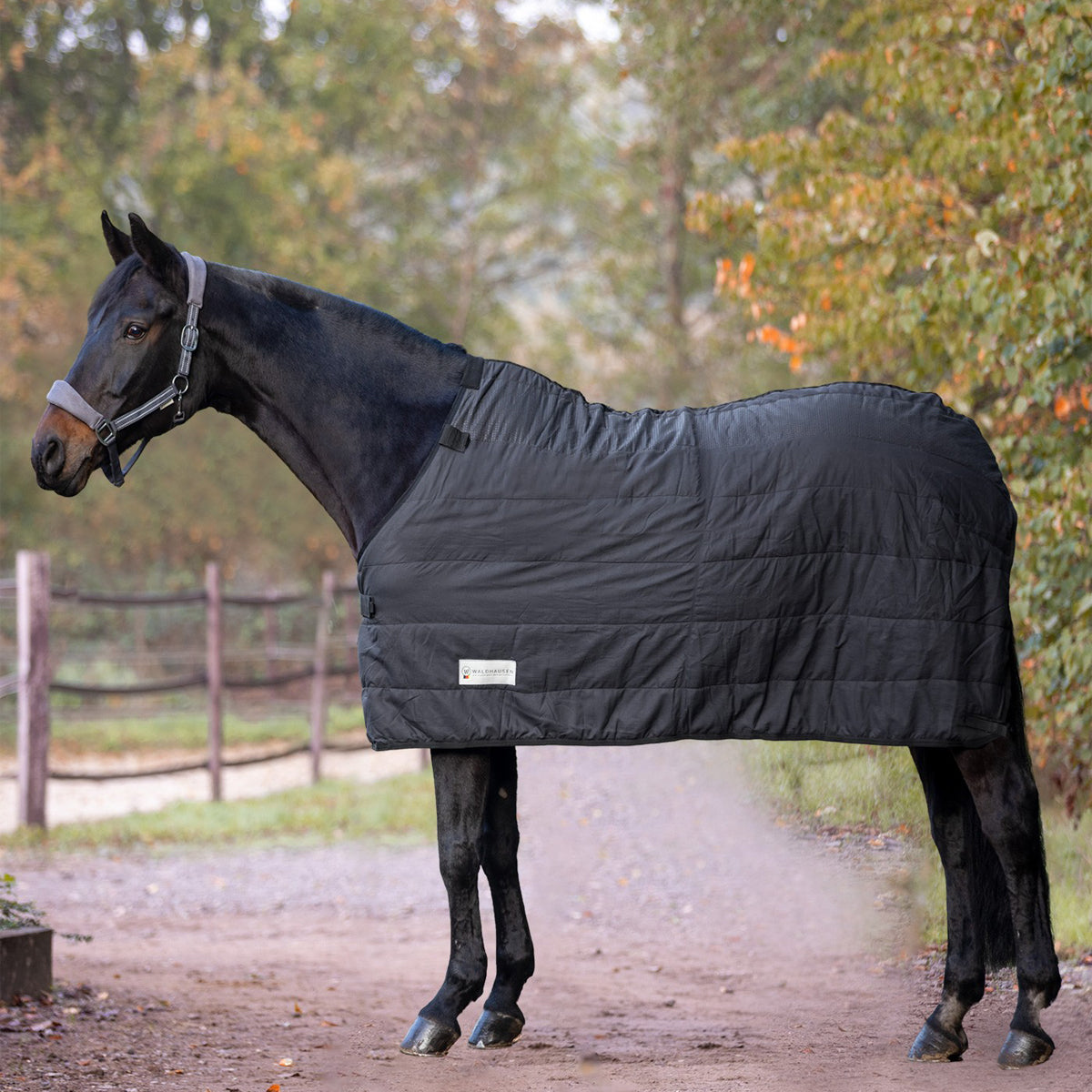 Economic Thermal Unde Rug, 200g