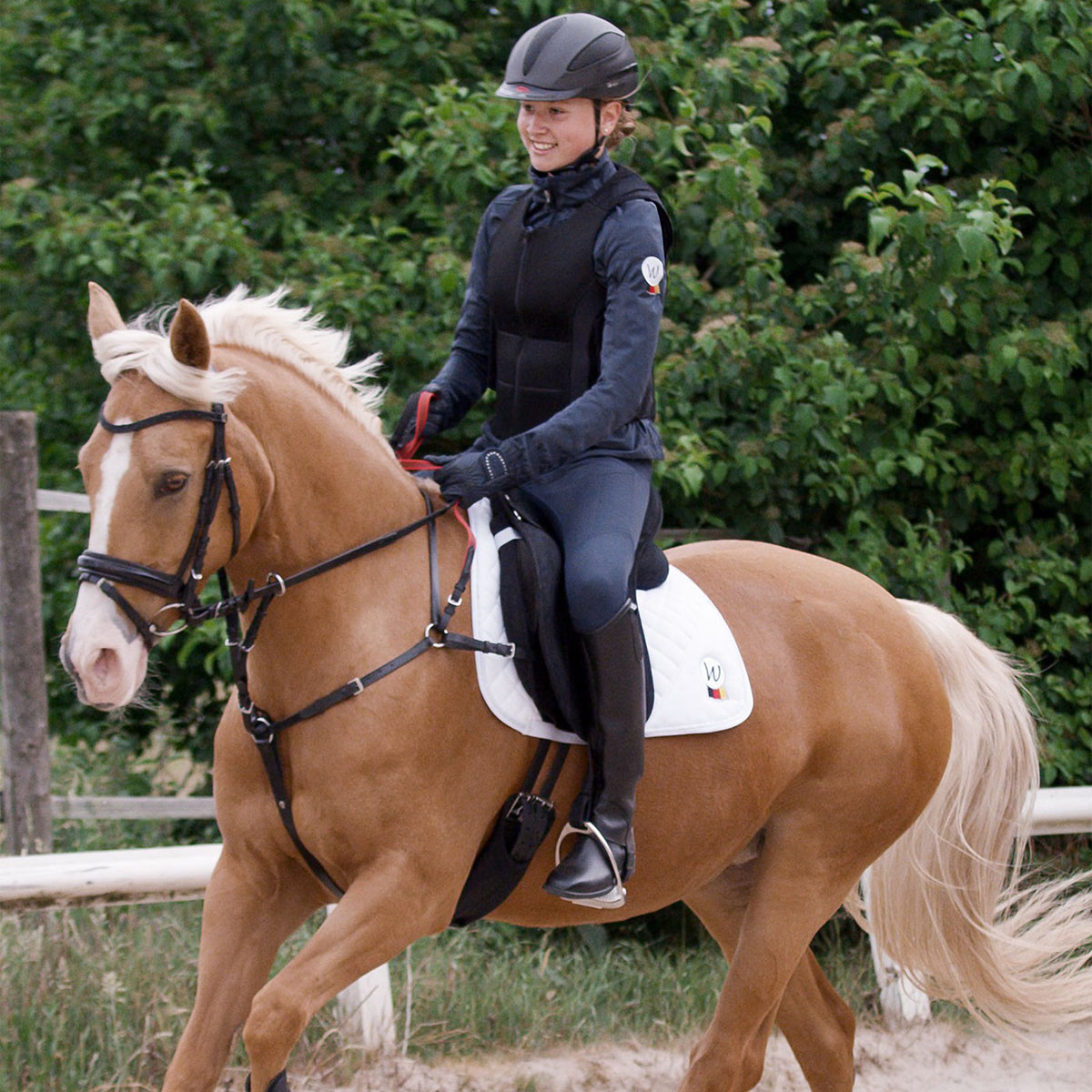 Secutrust Breastplate with Safety Rein