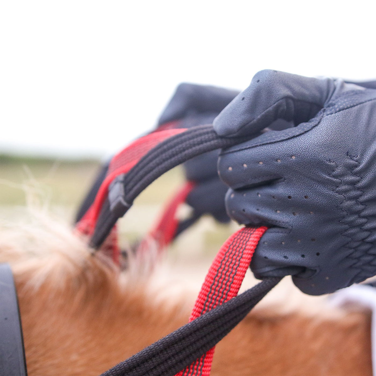 Secutrust Breastplate with Safety Rein
