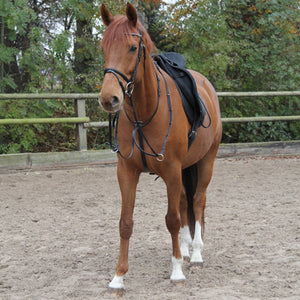 X-Line Martingale