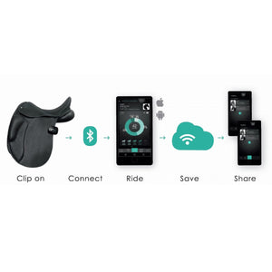 Equestic Saddle Clip
