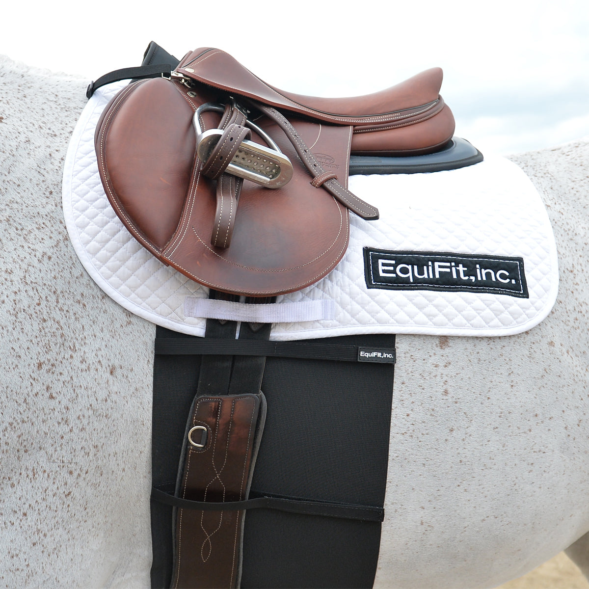 EquiFit® BellyBand™