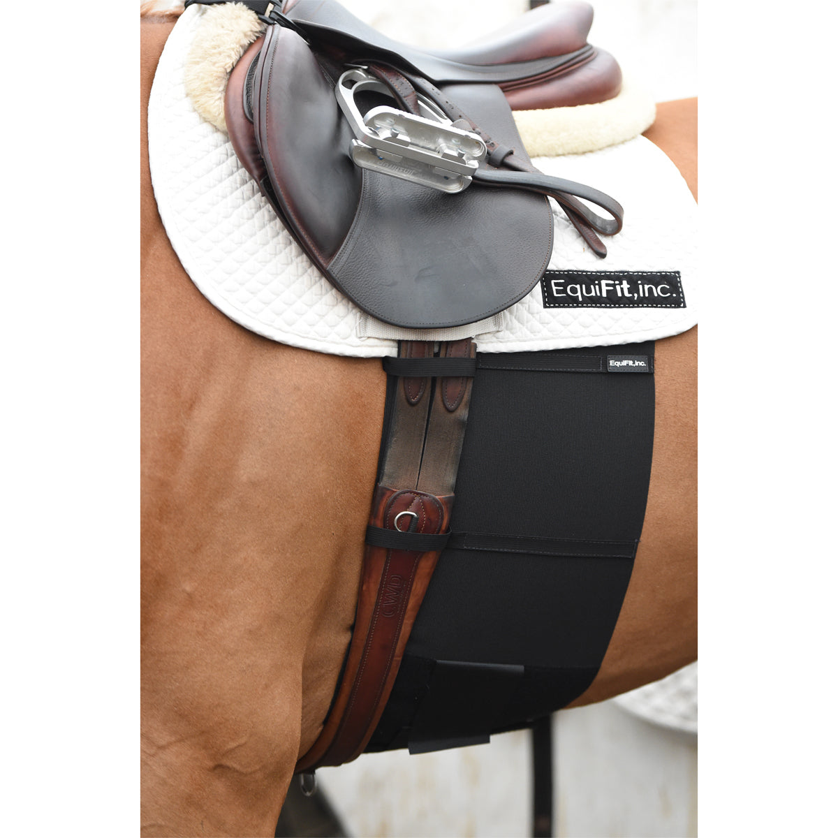 EquiFit® BellyBand™