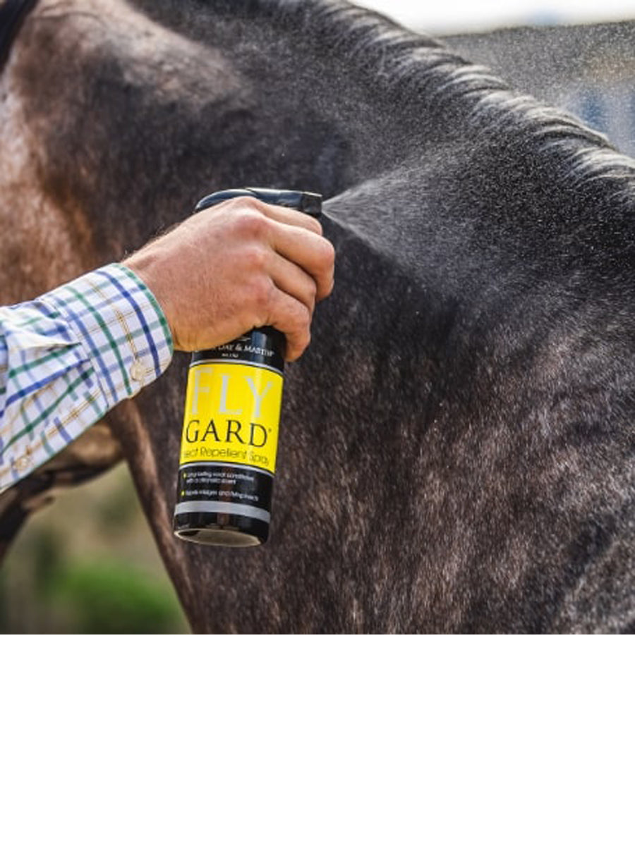 Carr & Day & Martin Flygard With Coat Conditioners