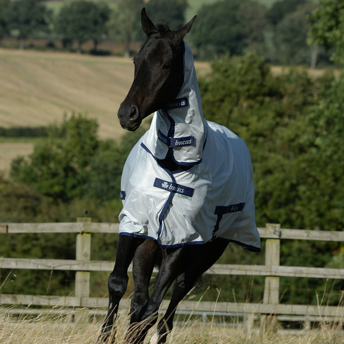 Bucas Freedom Fly Sheet