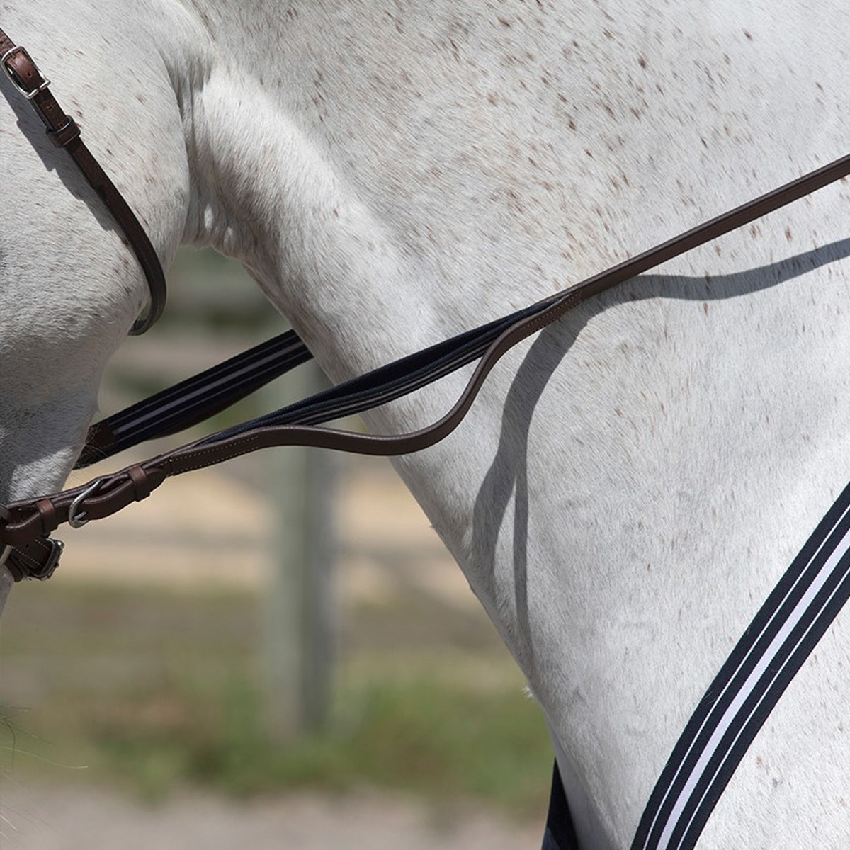 Antares Precision Rubber Reins with Elastic