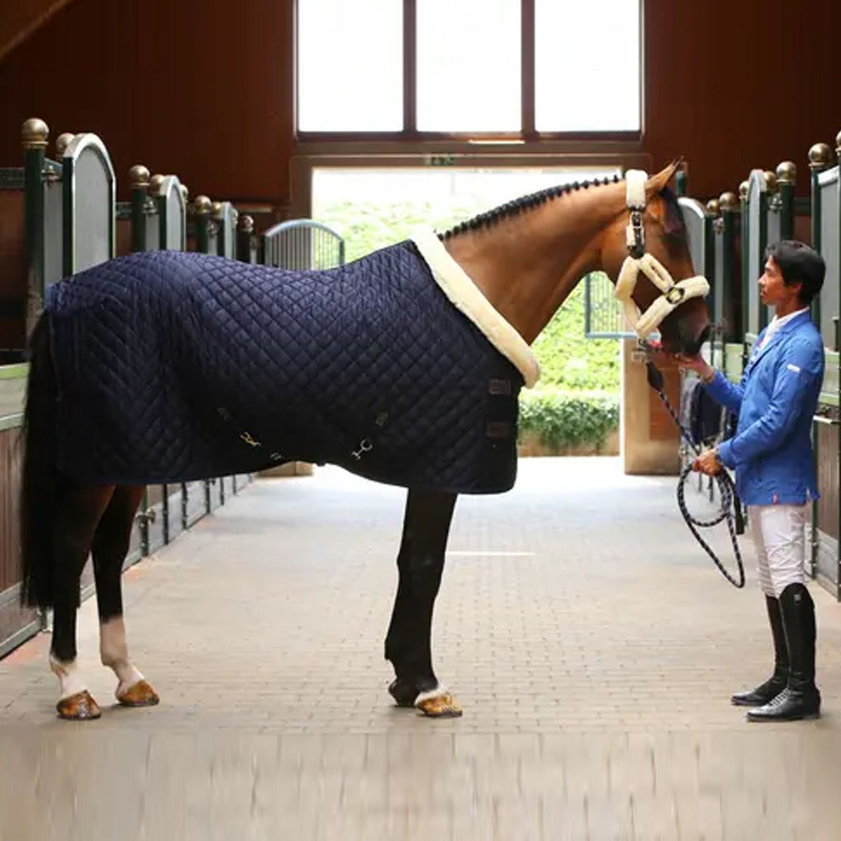 Kentucky Show Rug 160gm