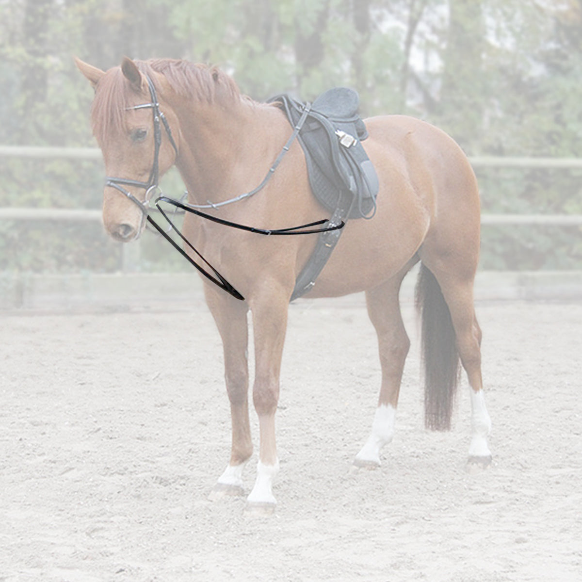 X-Line Draw Reins One-Piece