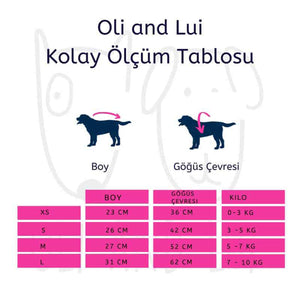 Oli and Lui Dog T-shirt Stripes
