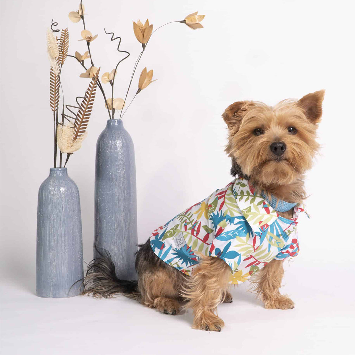 Oli and Lui Dog Shirt Tropical Breeze