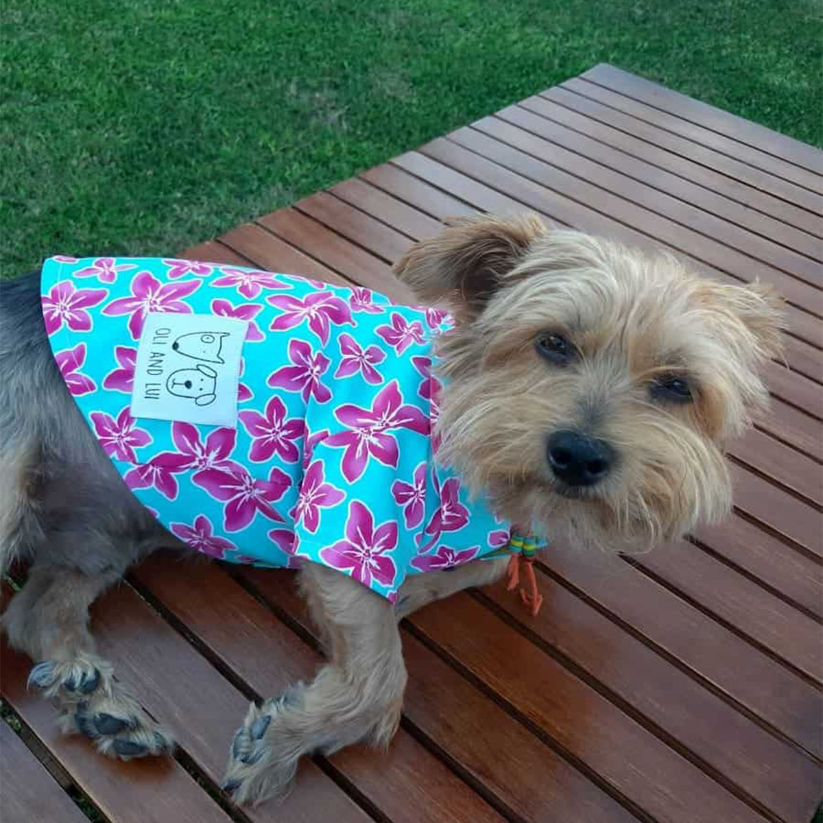 Oli and Lui Dog Shirt Flower