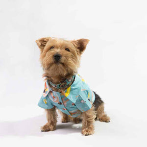 Oli and Lui Dog Shirt Beach Time