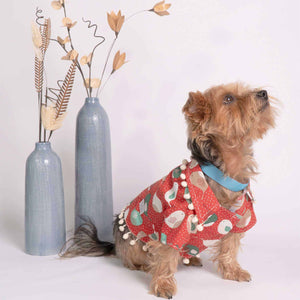 Oli and Lui Dog Shirt Bird on Red