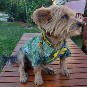 Oli and Lui Dog Shirt Parrot