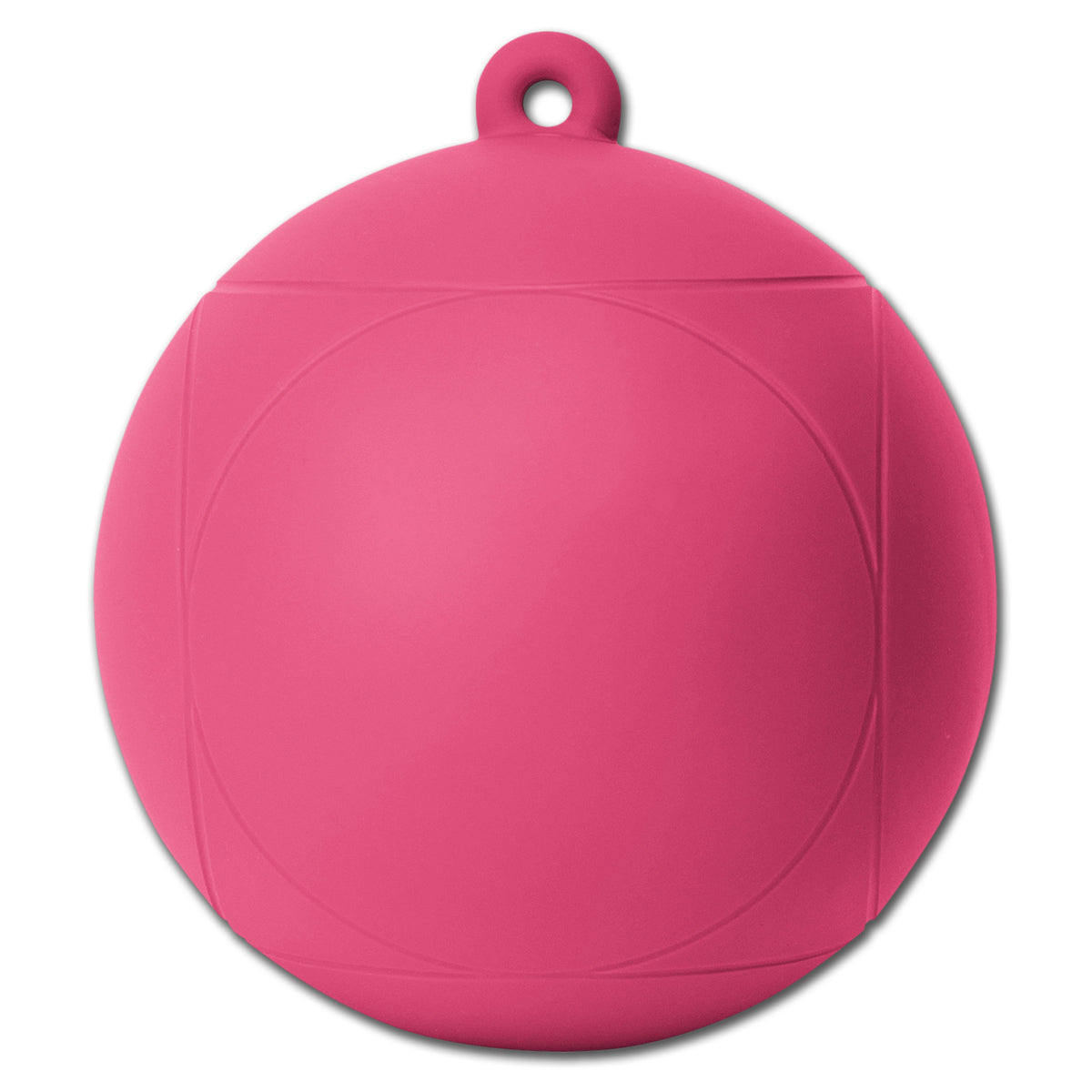 Horse-Playball
