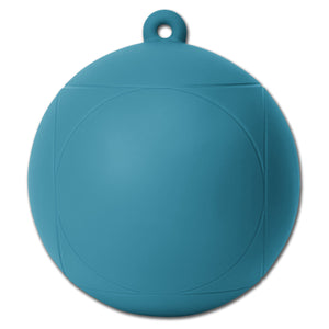 Horse-Playball