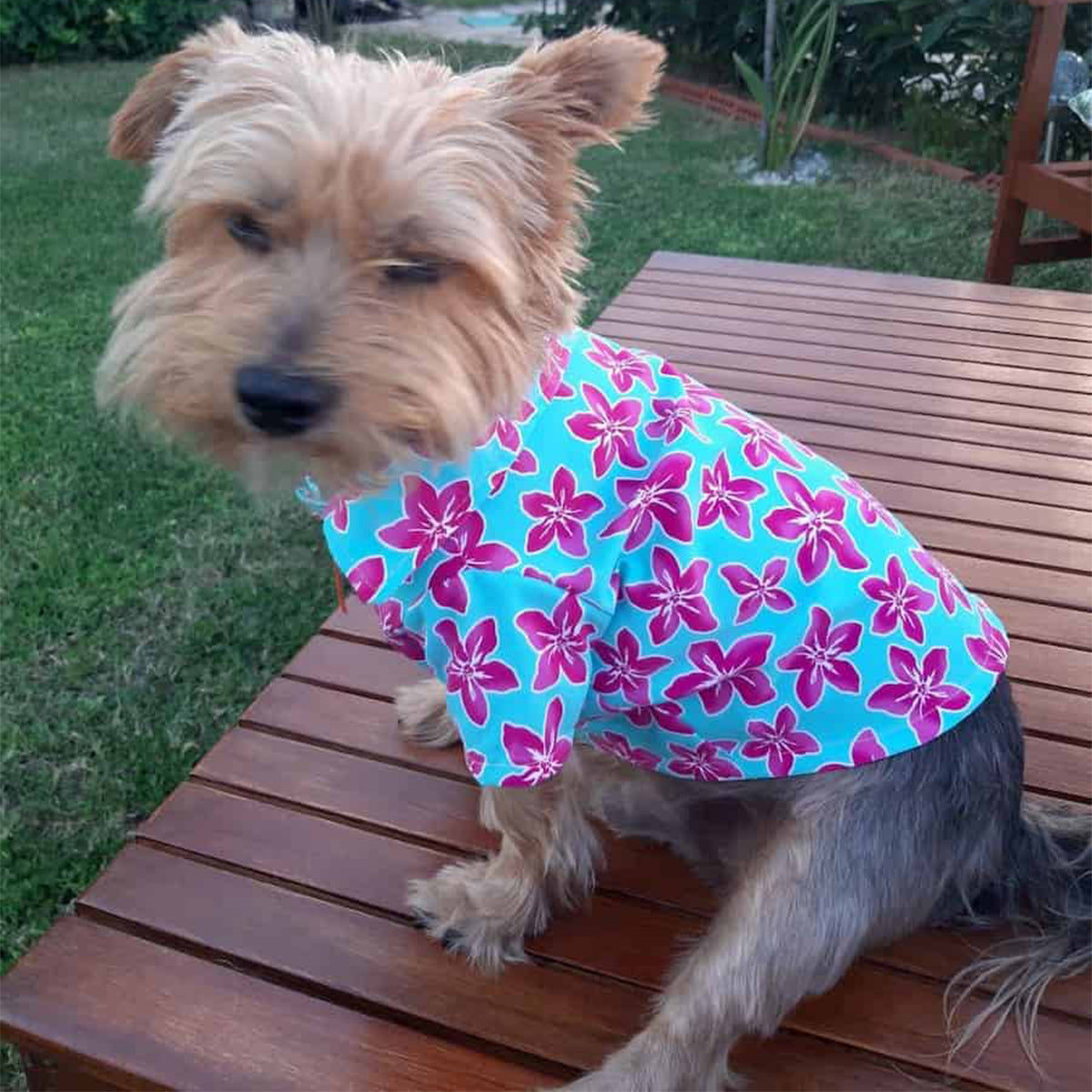 Oli and Lui Dog Shirt Flower