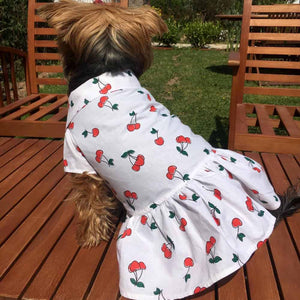 Oli and Lui Dog Dress Cherry Dress