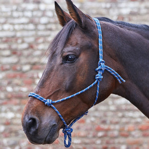 Knotted Halter