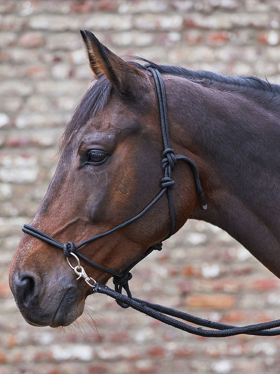 Knotted Halter with Reins