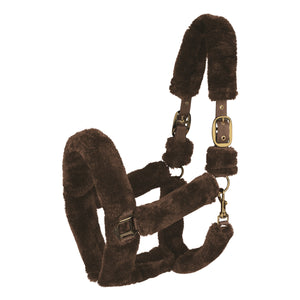 Halter Cozy