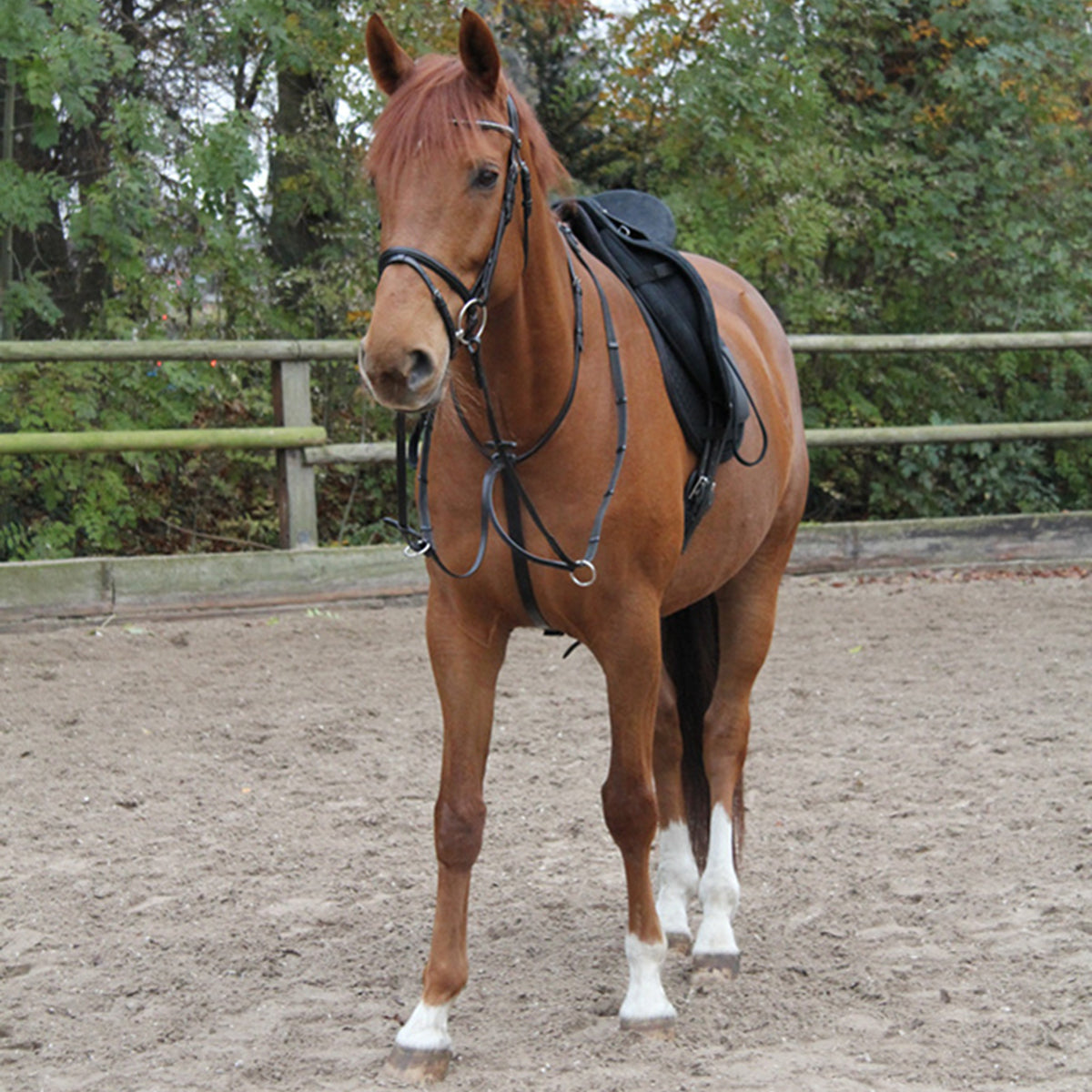 X-Line Martingale