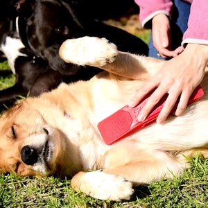 StripHair® Gentle Groomer - Sensitive