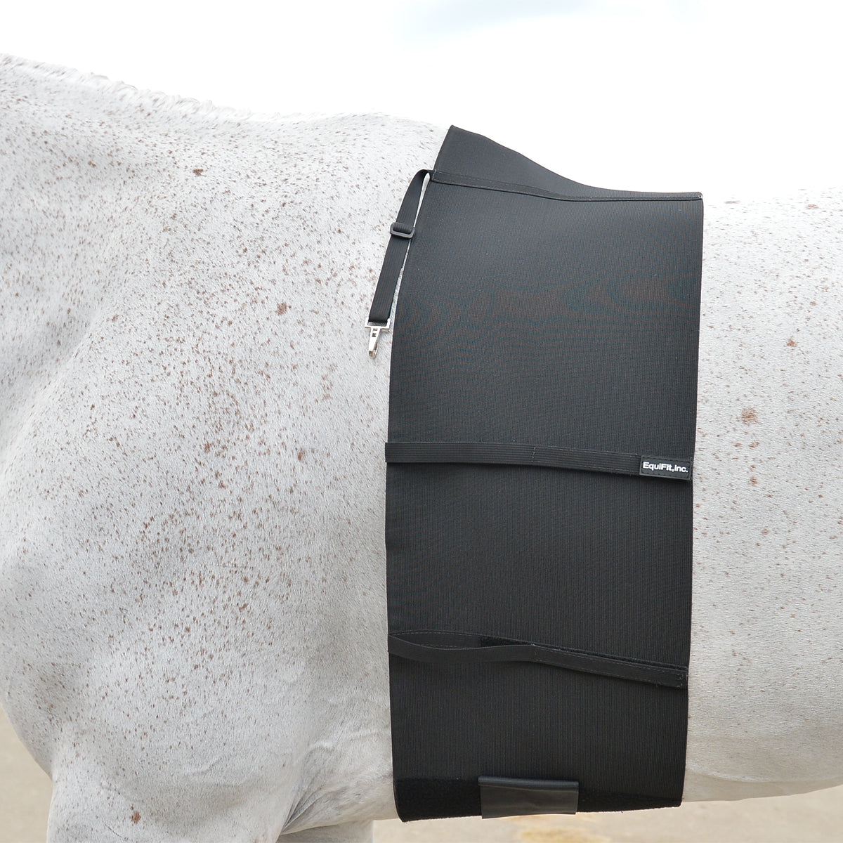 EquiFit® BellyBand™