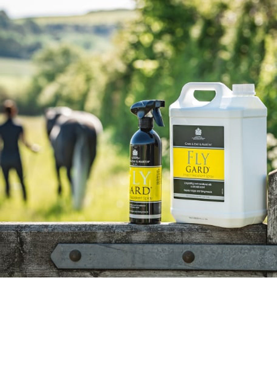 Carr & Day & Martin Flygard With Coat Conditioners
