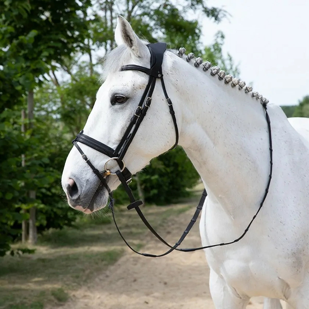 Antares Precision Comfort Bridle Noseband