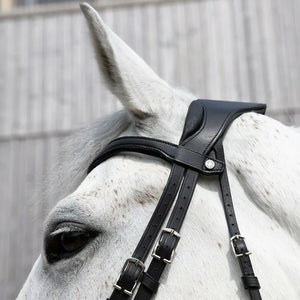 Antares Precision Comfort Bridle Noseband