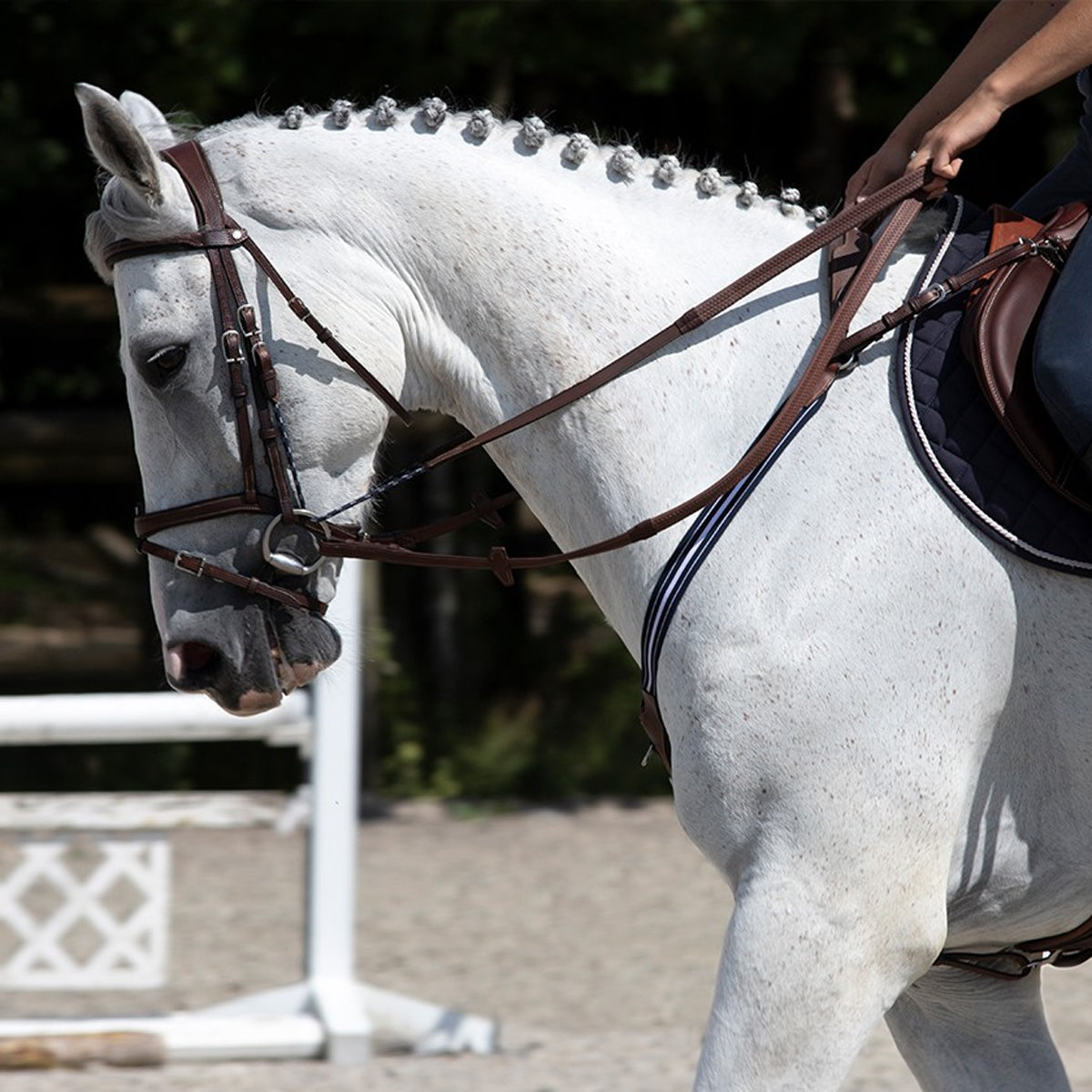 Antares Precision Gag Reins