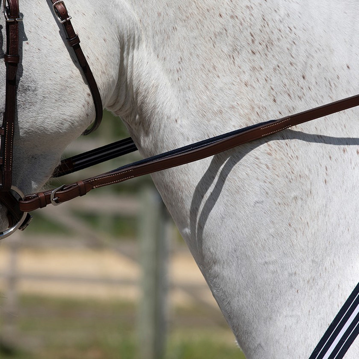 Antares Precision Rubber Reins with Elastic