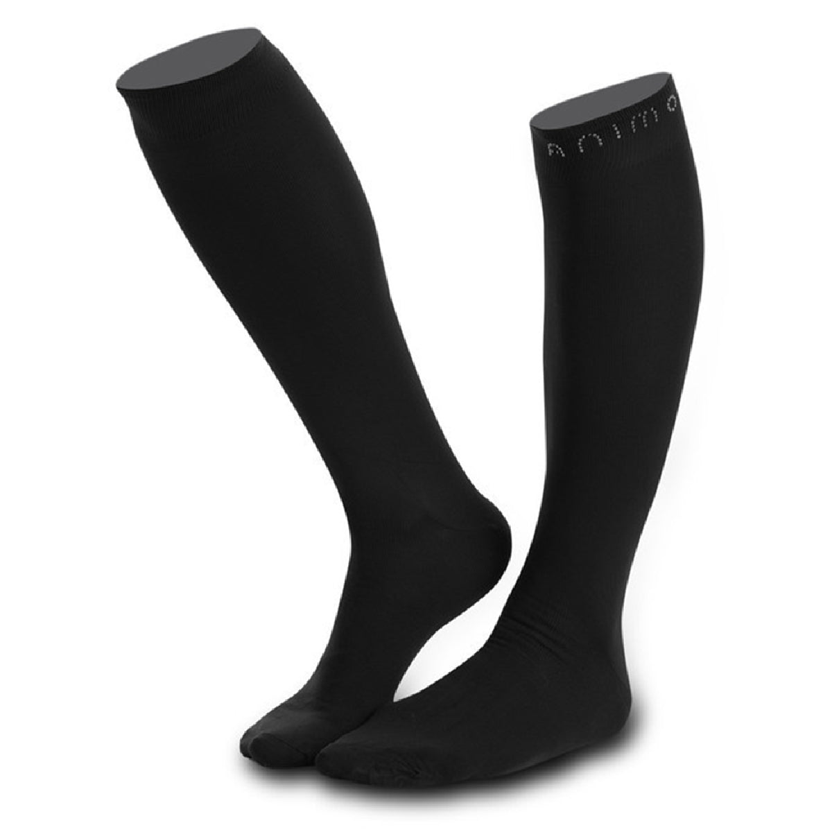 Animo Taipei Socks