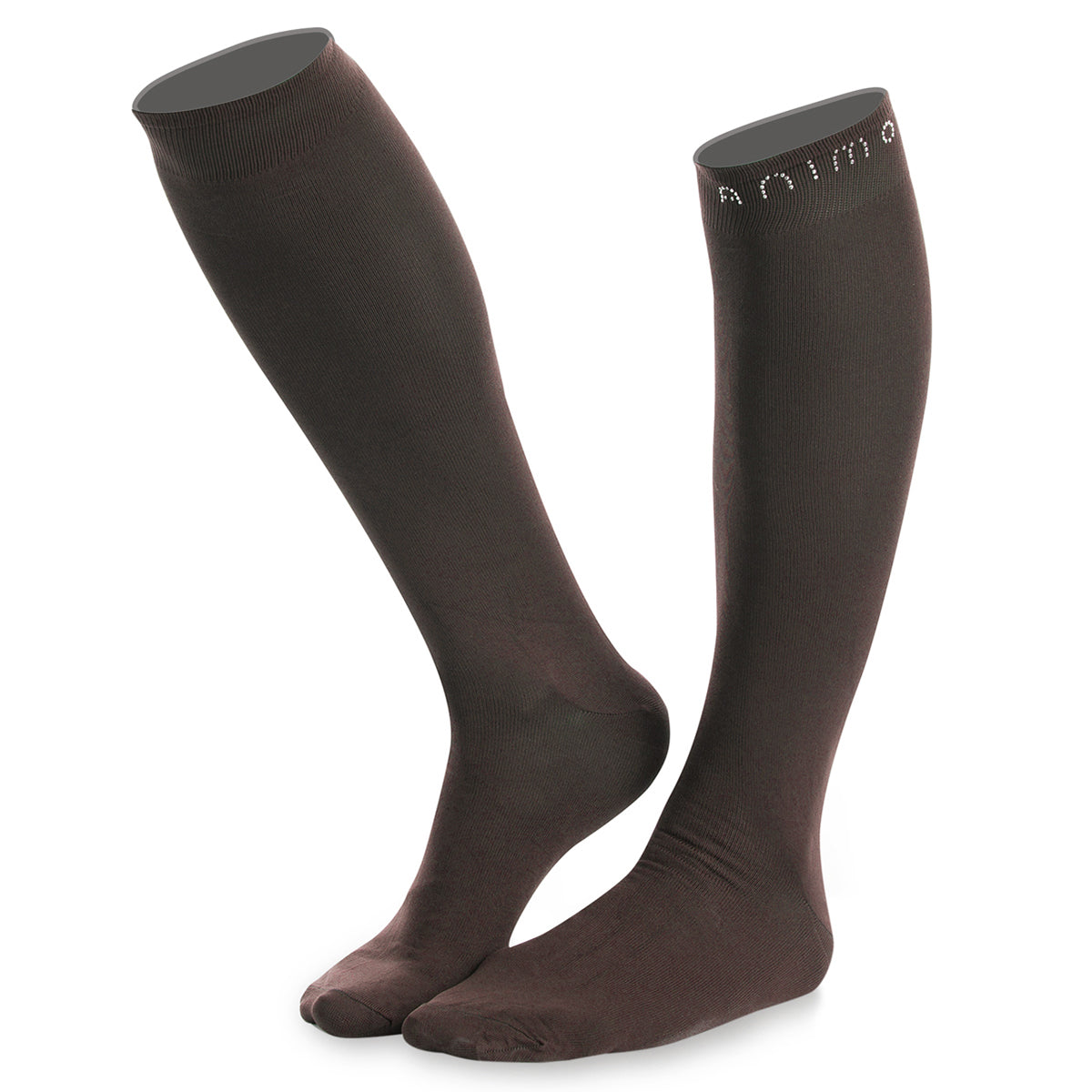 Animo Taipei Socks