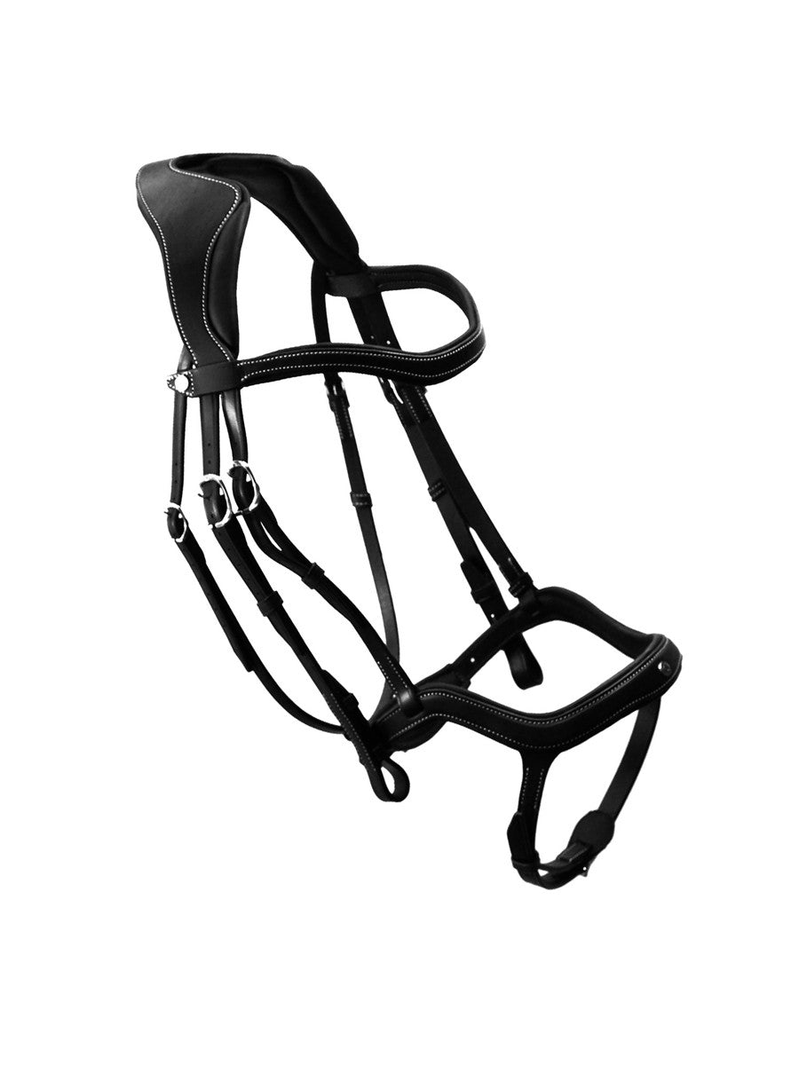 Antares Precision Y Noseband Bridle
